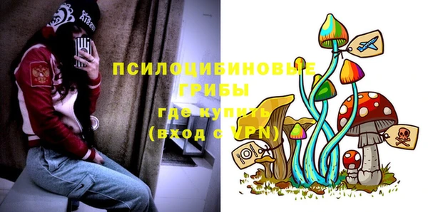 каннабис Алексеевка