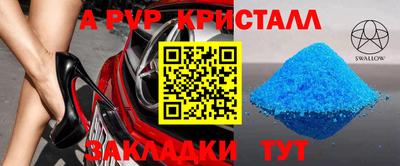 спиды Кимры