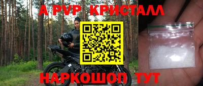 спиды Кимры