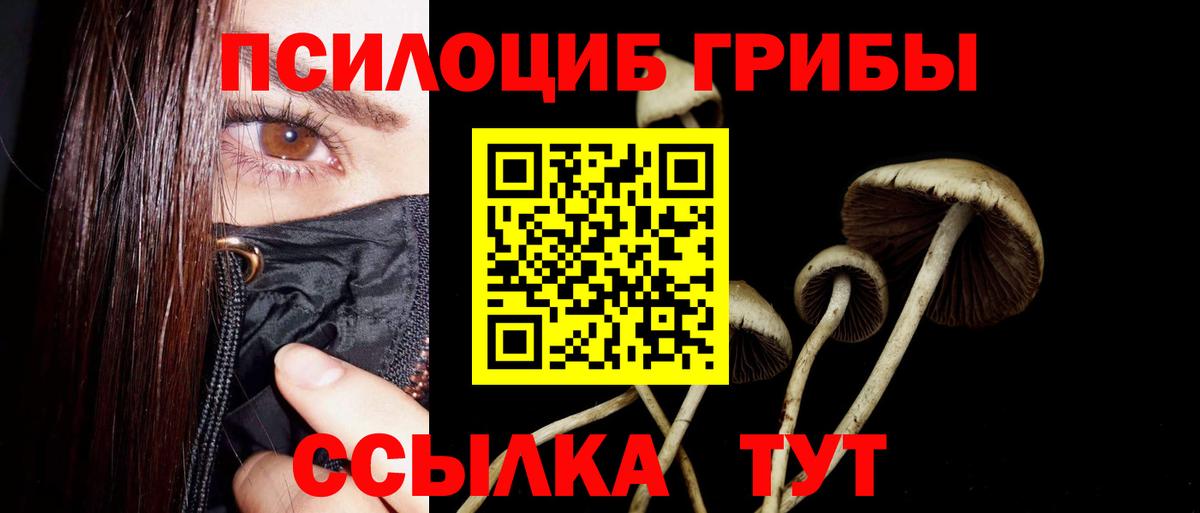 Галлюциногенные грибы Magic Shrooms Красноярск
